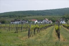 Obritz