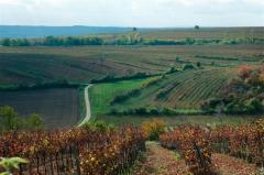 Herbst