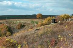 Herbst