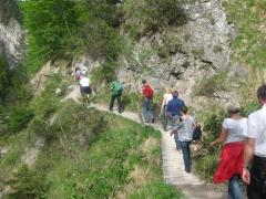 Betriebsausflug 2011