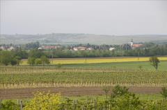 Obritz