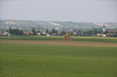 Obritz
