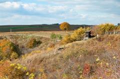Herbst